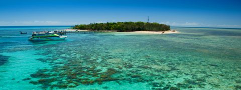 Big Cat Cruises at green Island