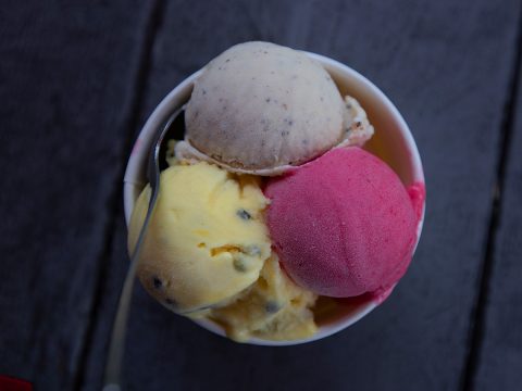 Daintree Ice Cream Co. Ice cream