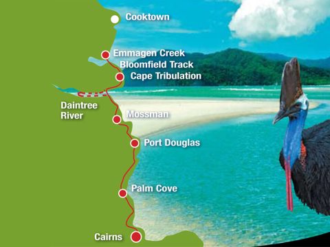 Billy Tea Safaris Map to the Daintree