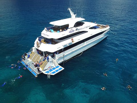 Spacious and modern yacht, Evolution