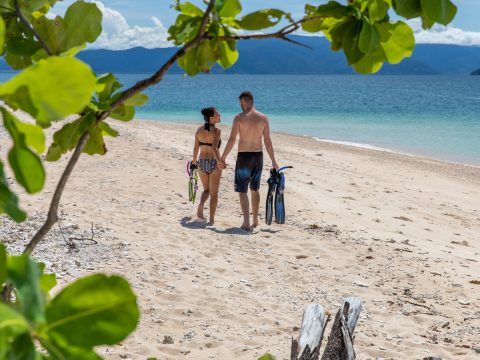 Frankland Islands Beach