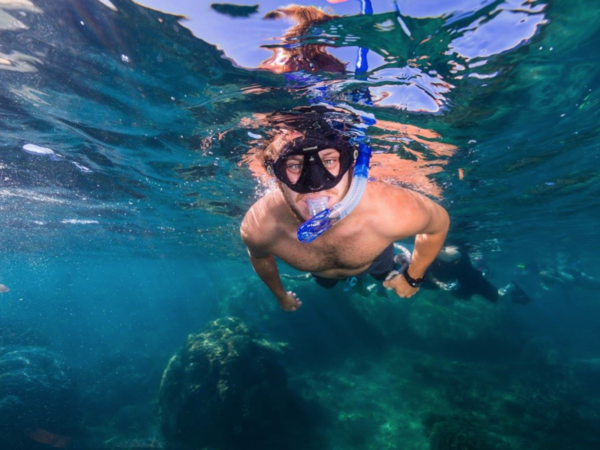 Frankland Islands swimmer