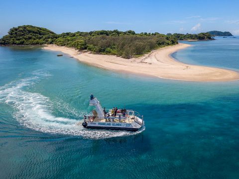 Frankland Islands Submersible coral viewing tour.