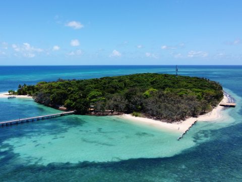 Aerial view of Green Island