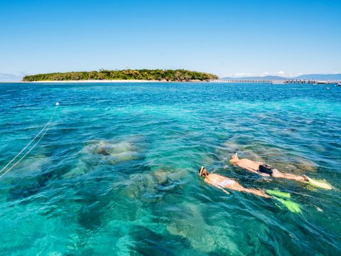 People snorkelling off Green Island