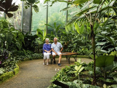 Cairns Discovery Tours Botanical Gardens