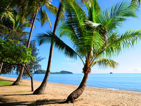 Cairns Discovery Tours drive to Palm Cove
