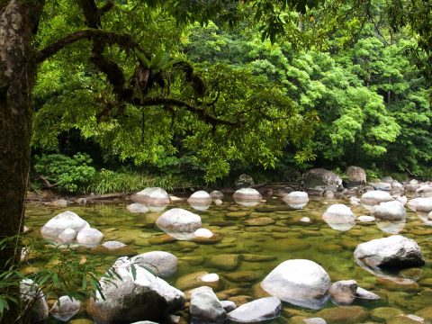 Mossman River and rocks