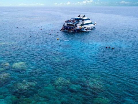Reef Experience high-speed Catamaran