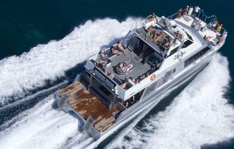 Ocean Freedom yacht sailing