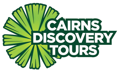 Cairns Discovery Tours Logo