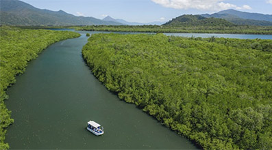 Cairns river cruise boat during calm tour of Trinity Inlet