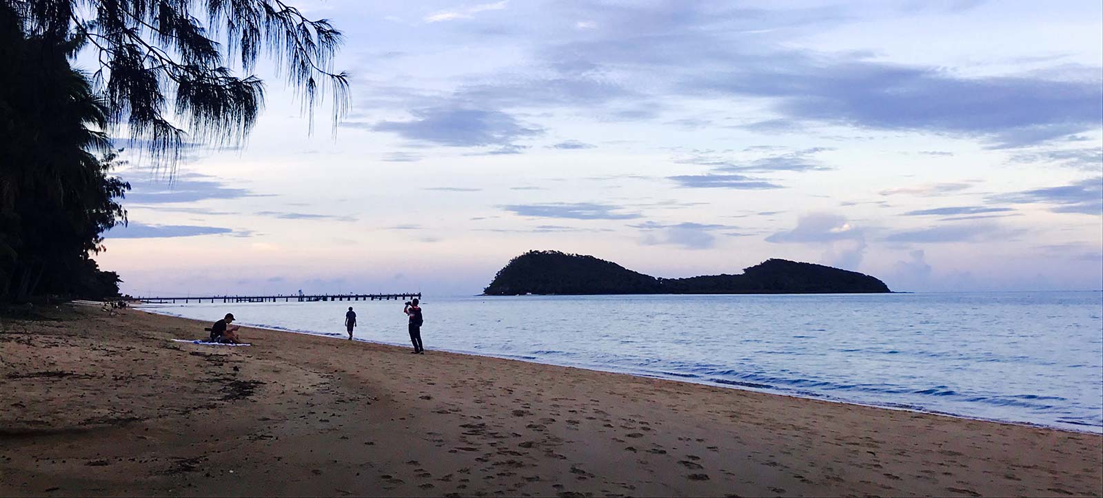 beautiful palm cover beach during sundown