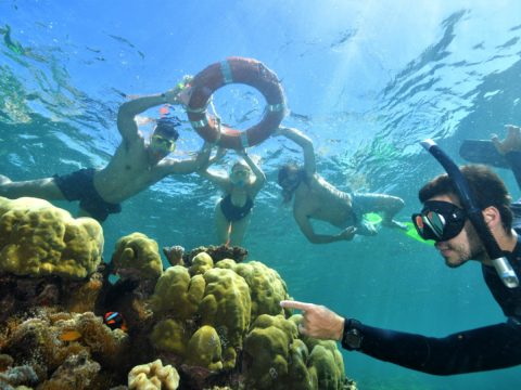 SunLover guided snorkel tour on Fitzroy Island