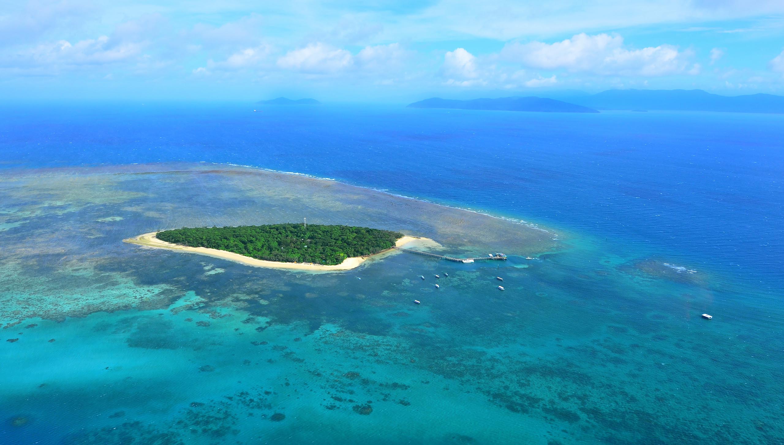 Aerial view of Green Island reef at the Great Barrier Reef near Cairns in Tropical North Queensland, Australia. No people. Copy space