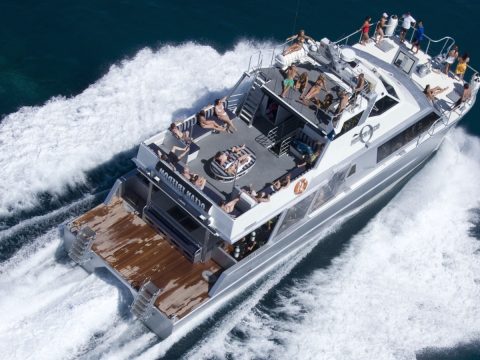 Ocean Freedom boat