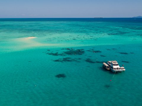 Ocean Freedom boat in the middle of the sea