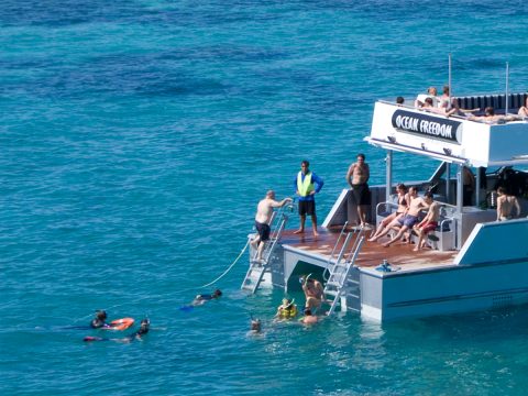 Tourists snorkeling in the middle of the sea
