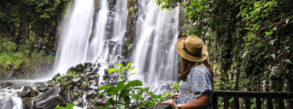 Waterfall and Rainforest Tour Cairns, Australia