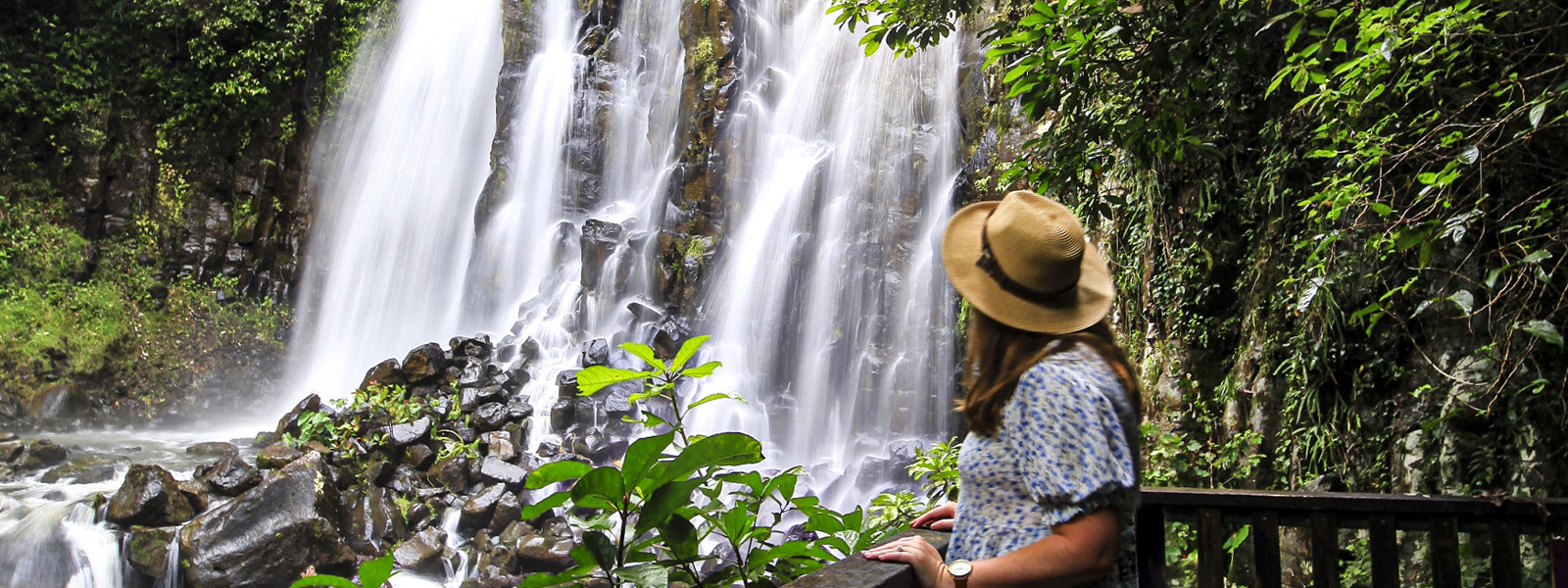 Waterfall and Rainforest Tour Cairns, Australia