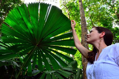 2 Day Daintree tour from Cairns