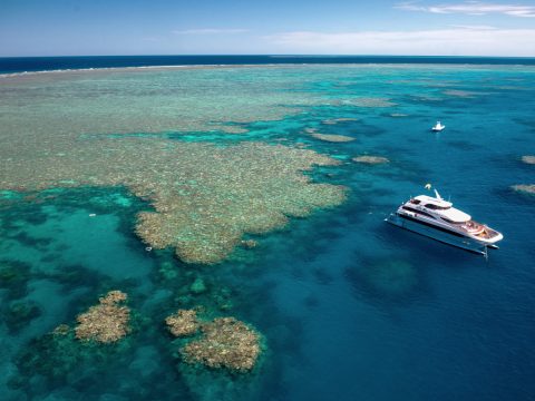 Evolution Boat on the Great Barrier Reef