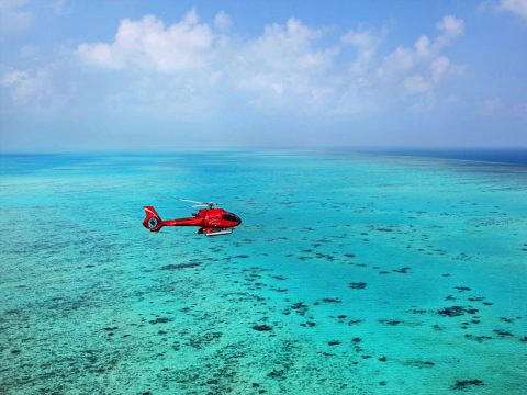 Nautilus Aviation Helicopter