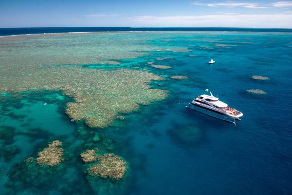 Down Under Cruise reef shot