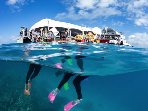 GreatAdventures Swimmers & Snorkle