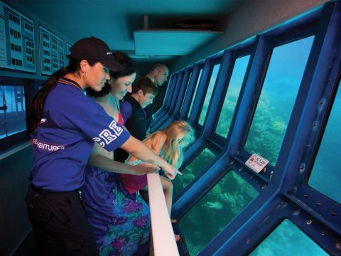 Great Adventures Underwater-Obs