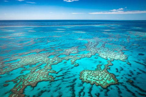 Great Barrier Reef