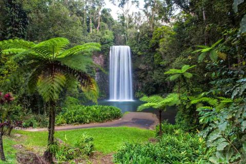 Beautiful Waterfalls In Atherton Tablelands