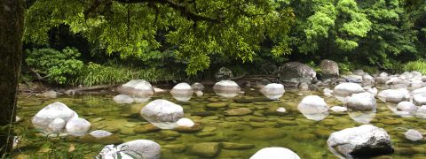 Mossman River flowing over bolders