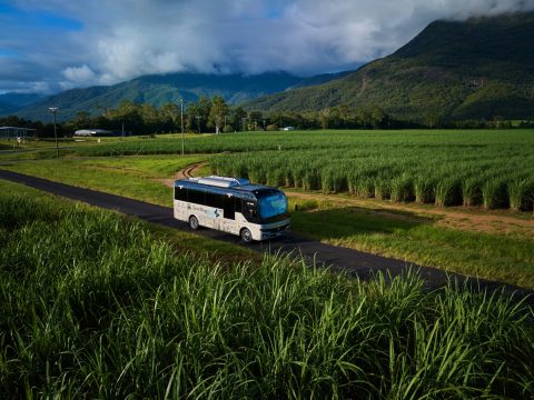 Tropic Wings buss driving through the sugar cane north of Cairns