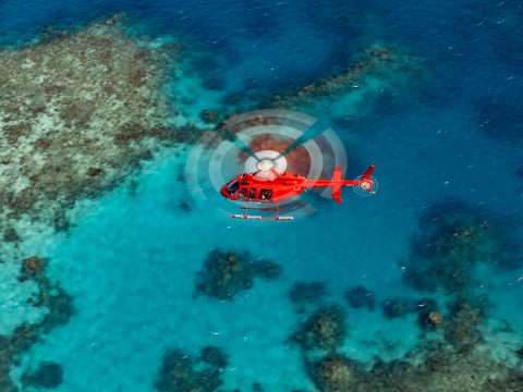Aerial shot of Nautilus Helicopter over the Great Barrier Reef