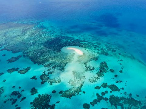 Aerial view of the reef