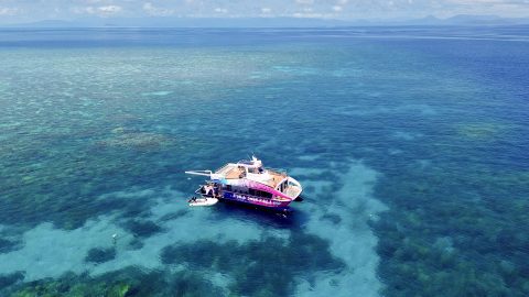 Tourists in a yacht in the middle of the sea