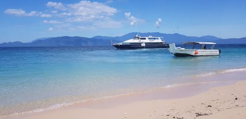 Cruise Ships Near an Island