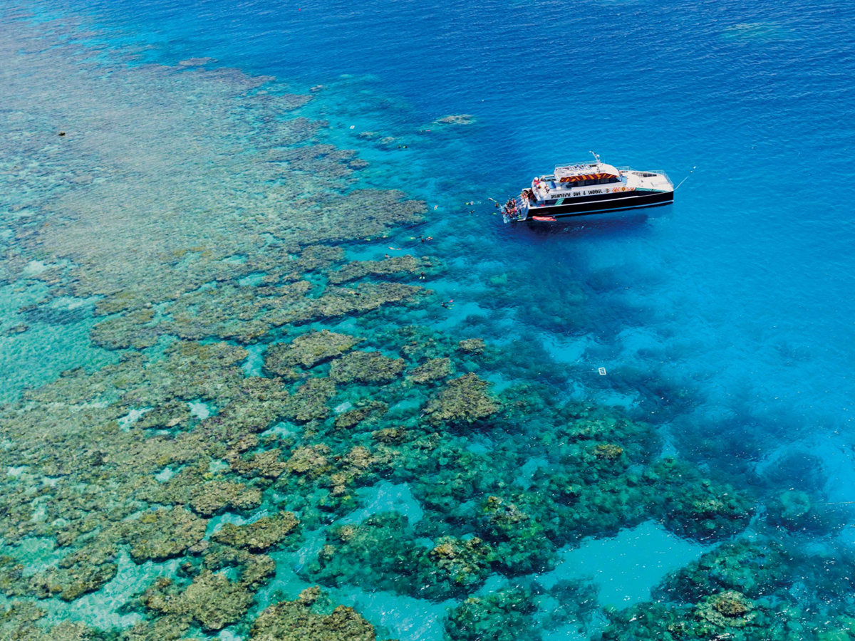 Dreamtime Dive and Snorkel cultural reef tour
