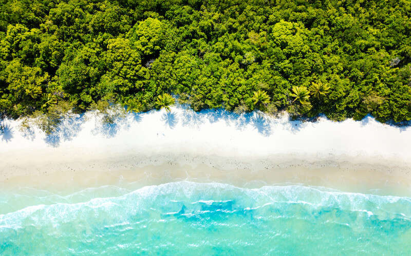 Aerial view of Cape Tribulation Beach where World Heritage rainforest meets the reef, on the coastal drive north to Cooktown