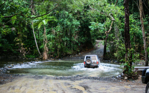 A four-wheel-drive vehicle crosses a shallow river in a dense tropical rainforest, with muddy tracks leading into the water and thick green vegetation surrounding the scene.