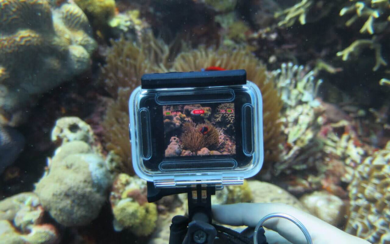 Underwater action camera filming coral reef at the Great Barrier Reef
