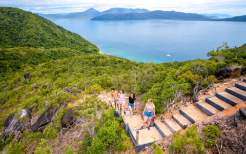 People walking down hillside steps on Fitzroy Island with scenic coastline and sea in background