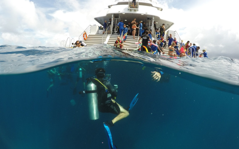 Split view of snorkelling and scuba diving at the Great Barrier Reef with tour boat above
