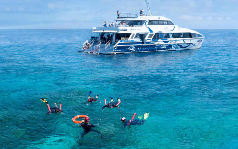 Snorkelers exploring the Great Barrier Reef near a tour boat in clear blue water off Cairns