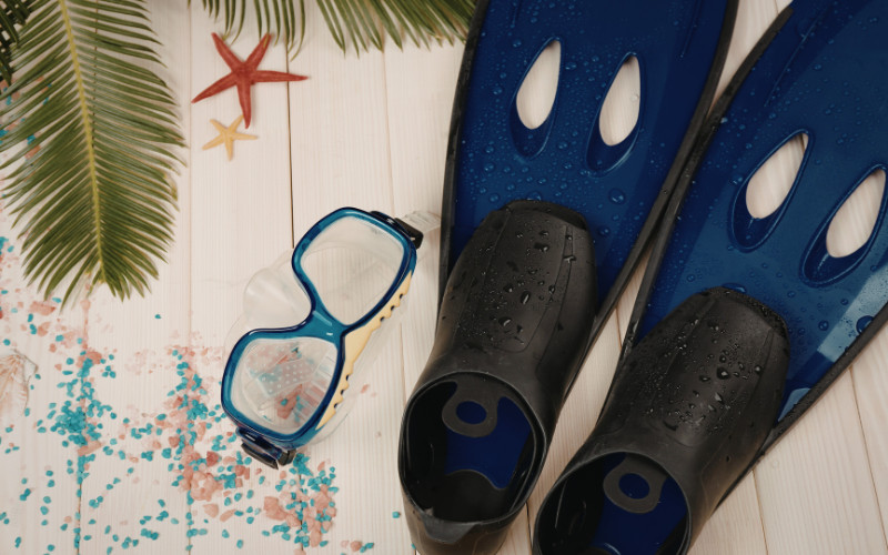 Snorkelling gear including fins and mask for a Great Barrier Reef tour packing list