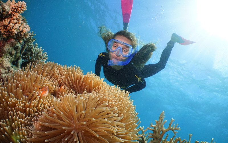 Snorkelers exploring coral reef at the Great Barrier Reef in clear water