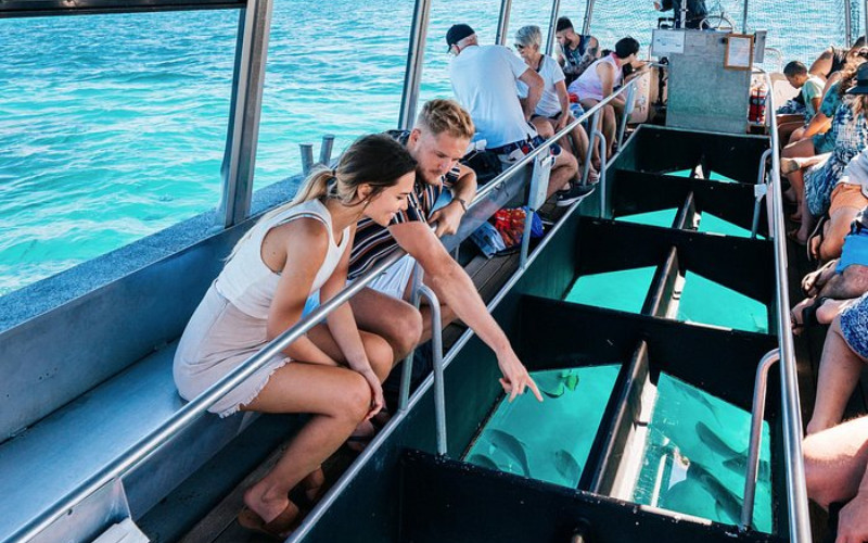 People sitting inside a glass-bottom boat looking down at reef and fish below