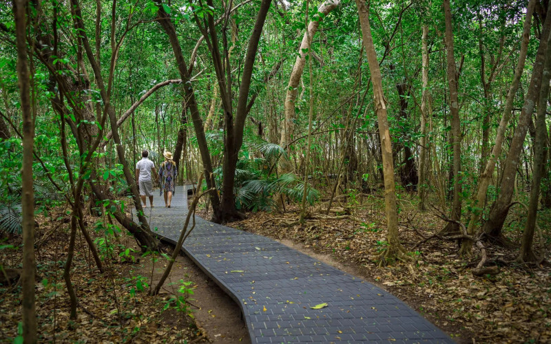Visitors walking along a shaded path through dense tropical forest on Green Island