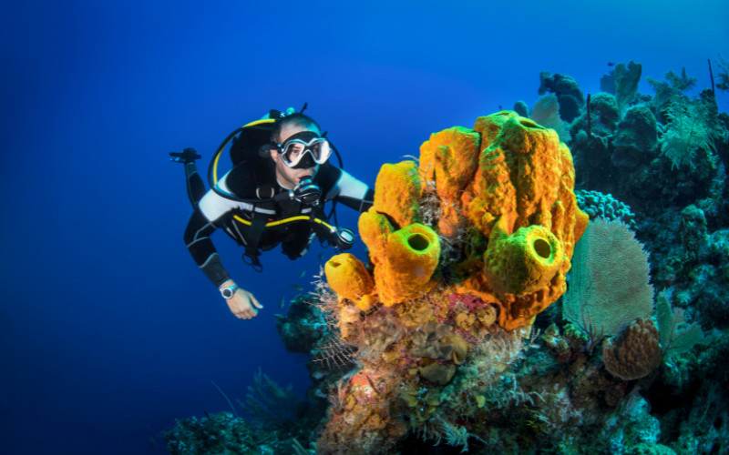 Scuba diver exploring coral reef at the Great Barrier Reef in clear blue water